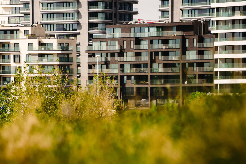 Architectuur van Dock 5 door Bontinck — donkere gevelsteen en zwart aluminium met groenaanleg, Oosteroever Oostende